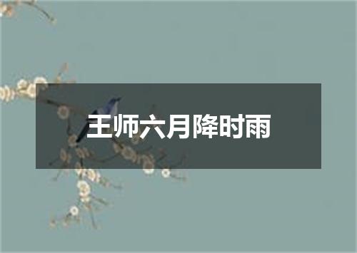 王师六月降时雨