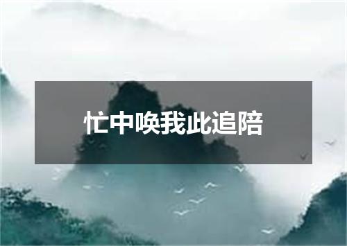 忙中唤我此追陪