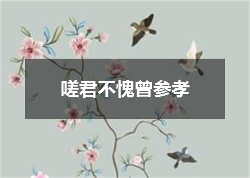 嗟君不愧曾参孝