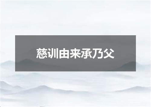 慈训由来承乃父