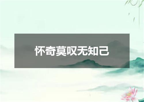 怀奇莫叹无知己