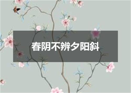 春阴不辨夕阳斜