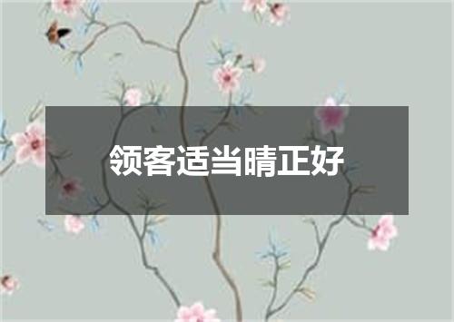 领客适当晴正好