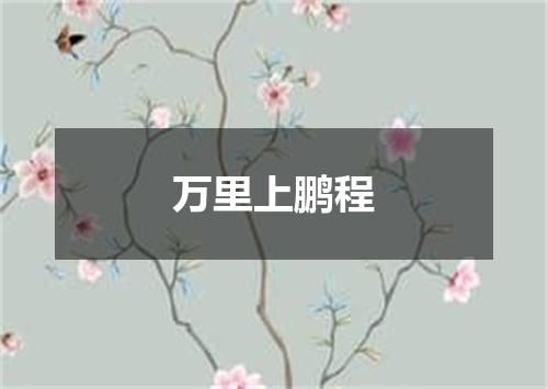 万里上鹏程