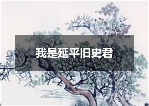 我是延平旧史君