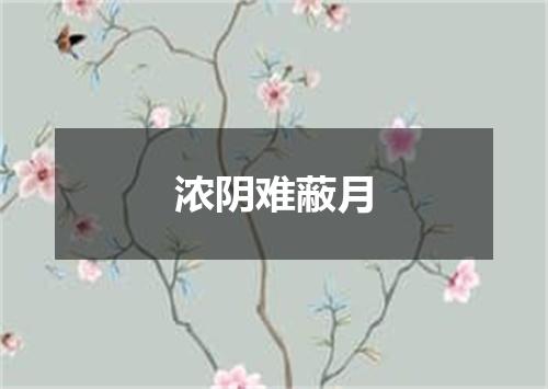 浓阴难蔽月