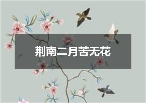 荆南二月苦无花