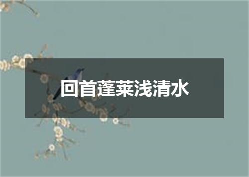 回首蓬莱浅清水