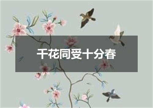 千花同受十分春