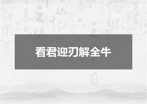 看君迎刃解全牛