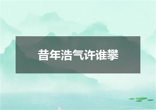 昔年浩气许谁攀