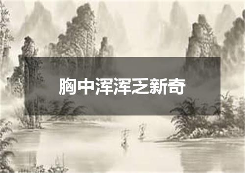 胸中浑浑乏新奇