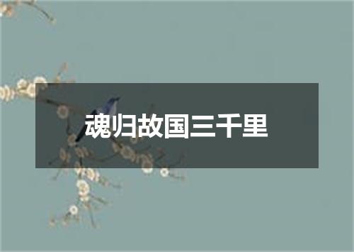 魂归故国三千里