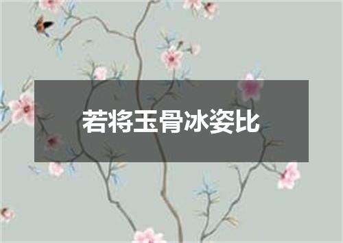 若将玉骨冰姿比