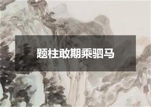 题柱敢期乘驷马