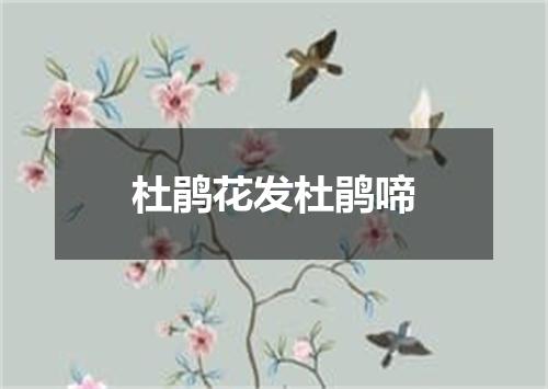 杜鹃花发杜鹃啼