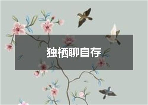 独栖聊自存