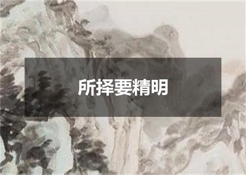 所择要精明