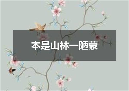 本是山林一陋蒙