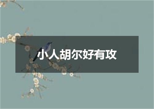 小人胡尔好有攻