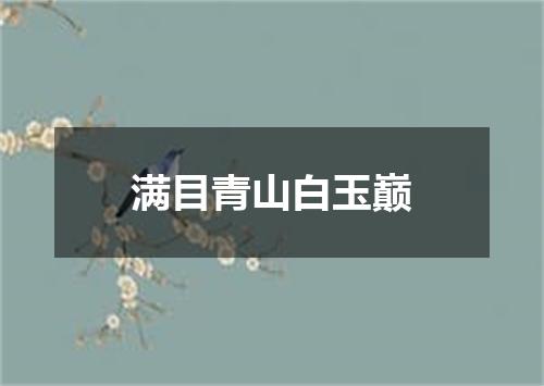 满目青山白玉巅