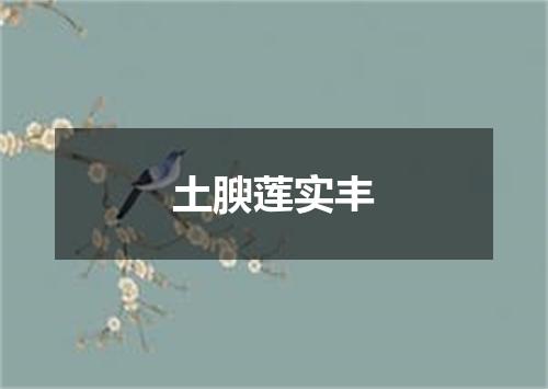 土腴莲实丰