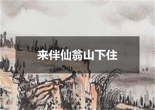 来伴仙翁山下住