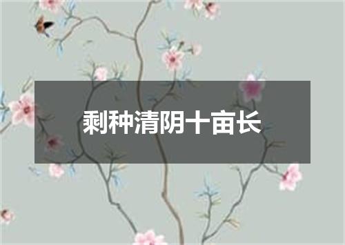 剩种清阴十亩长