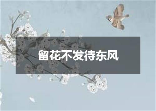 留花不发待东风