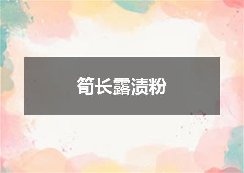 筍长露渍粉