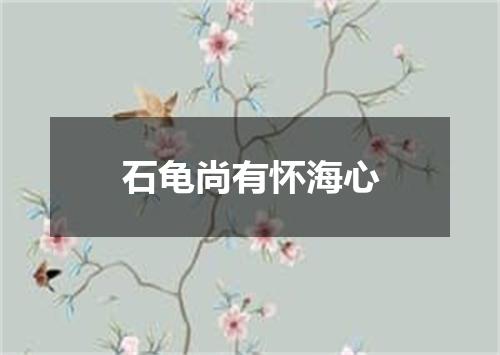 石龟尚有怀海心