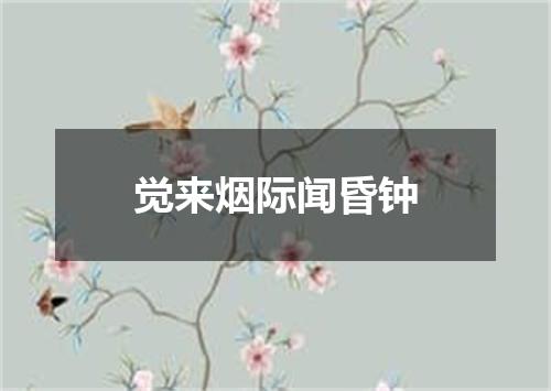 觉来烟际闻昏钟