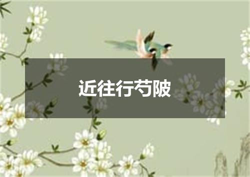 近往行芍陂