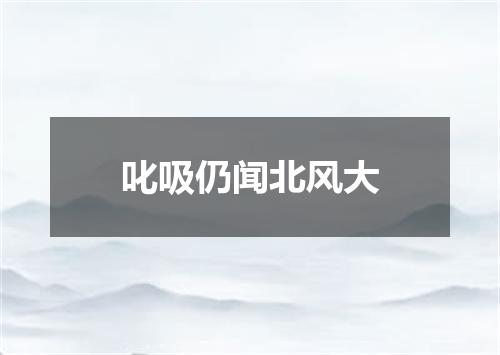 叱吸仍闻北风大