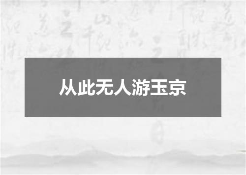 从此无人游玉京