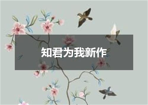 知君为我新作