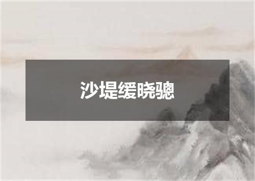 沙堤缓晓骢