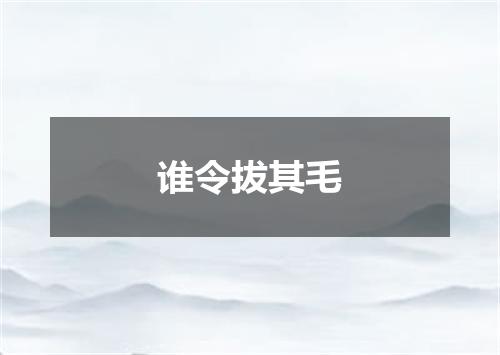 谁令拔其毛