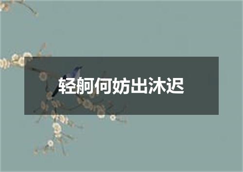 轻舸何妨出沐迟