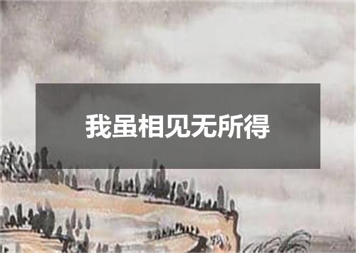 我虽相见无所得