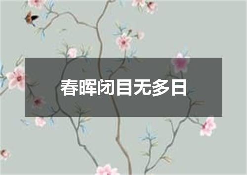 春晖闭目无多日