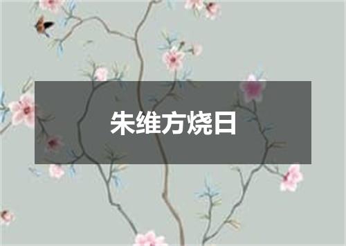 朱维方烧日