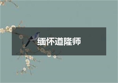 缅怀道隆师