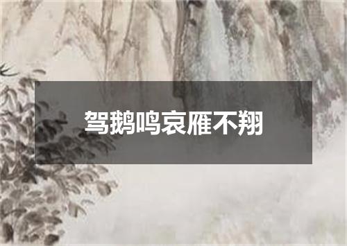 驾鹅鸣哀雁不翔