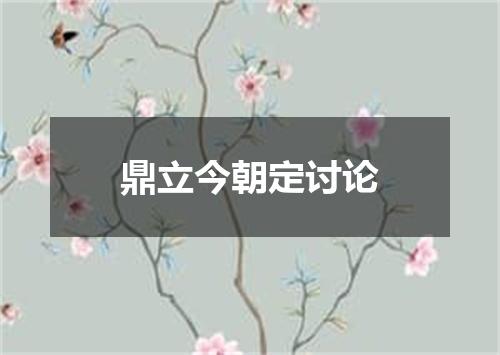 鼎立今朝定讨论