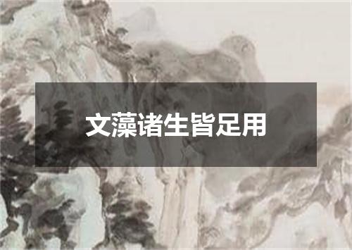 文藻诸生皆足用