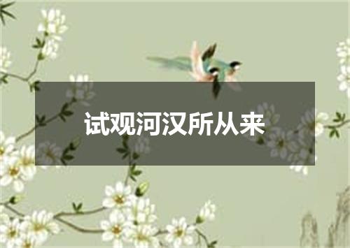 试观河汉所从来