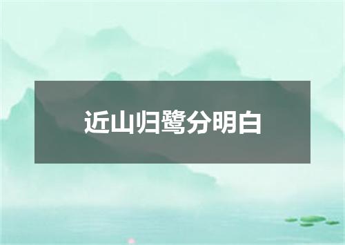 近山归鹭分明白