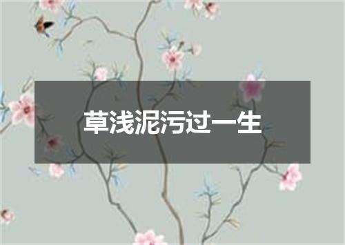 草浅泥污过一生