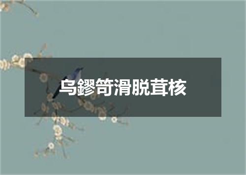 乌鏐笴滑脱茸核